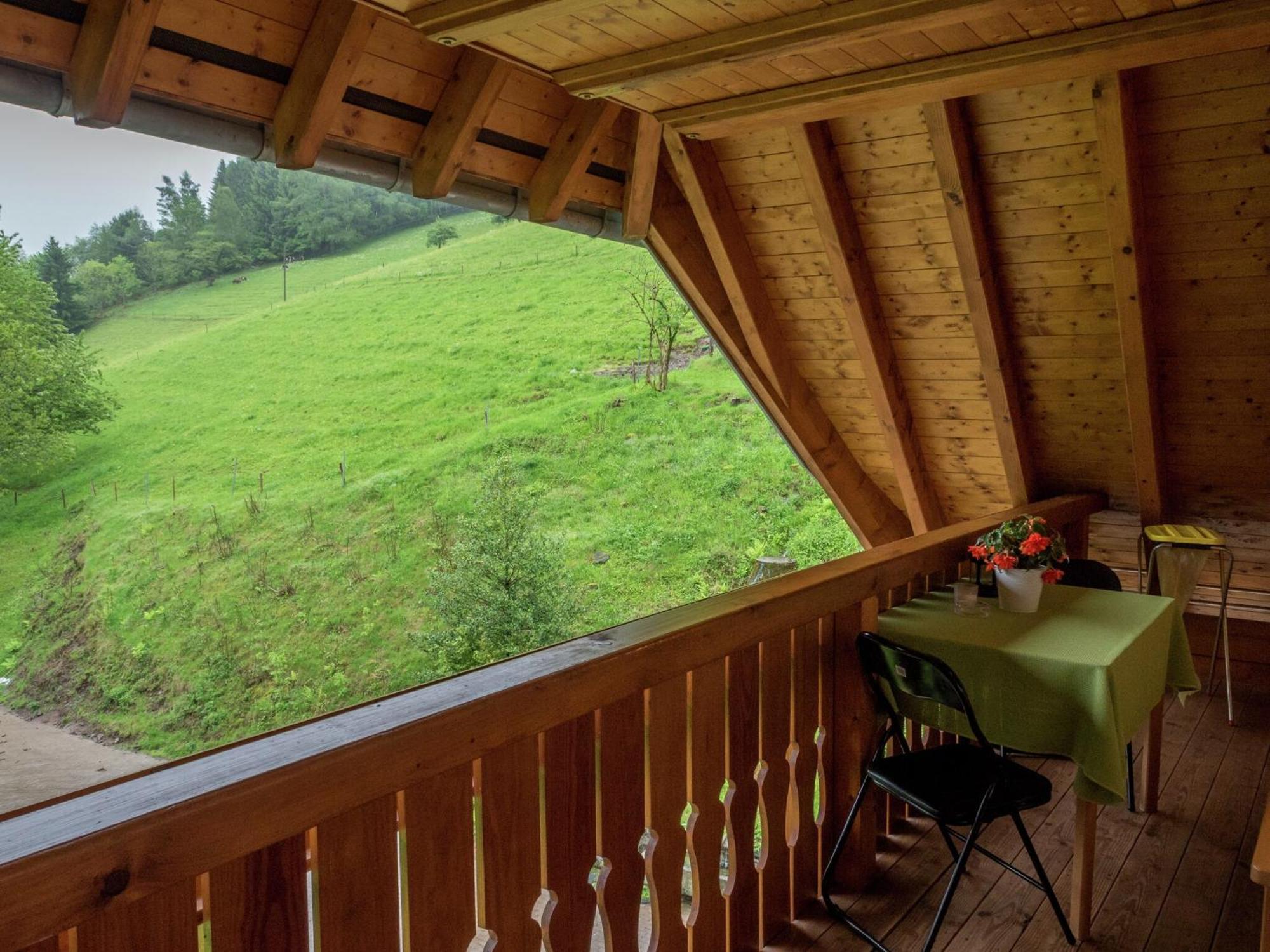 Cosy Farmhouse Apartment At The Edge Of The Forest Mühlenbach Exteriér fotografie