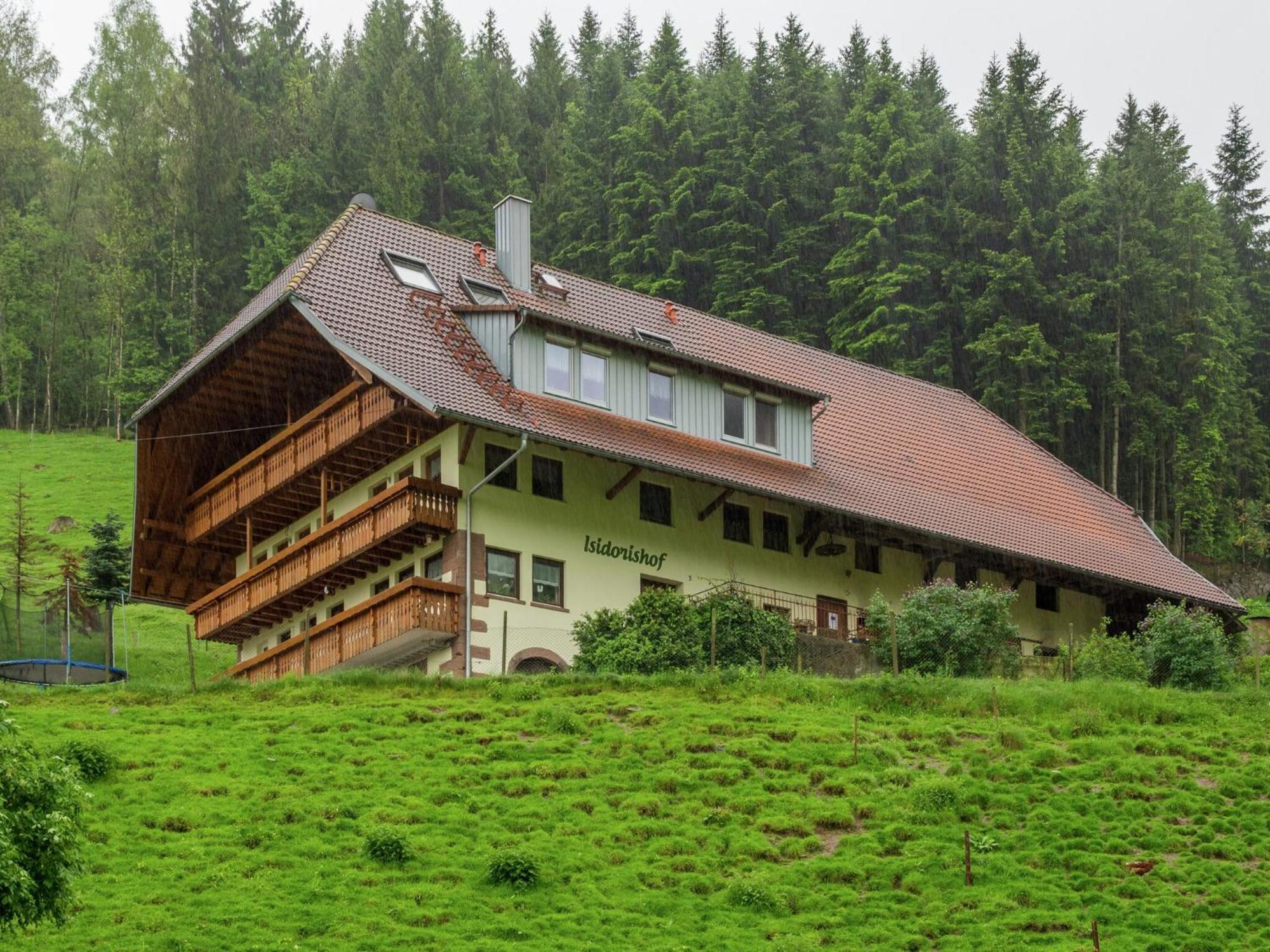 Cosy Farmhouse Apartment At The Edge Of The Forest Mühlenbach Exteriér fotografie