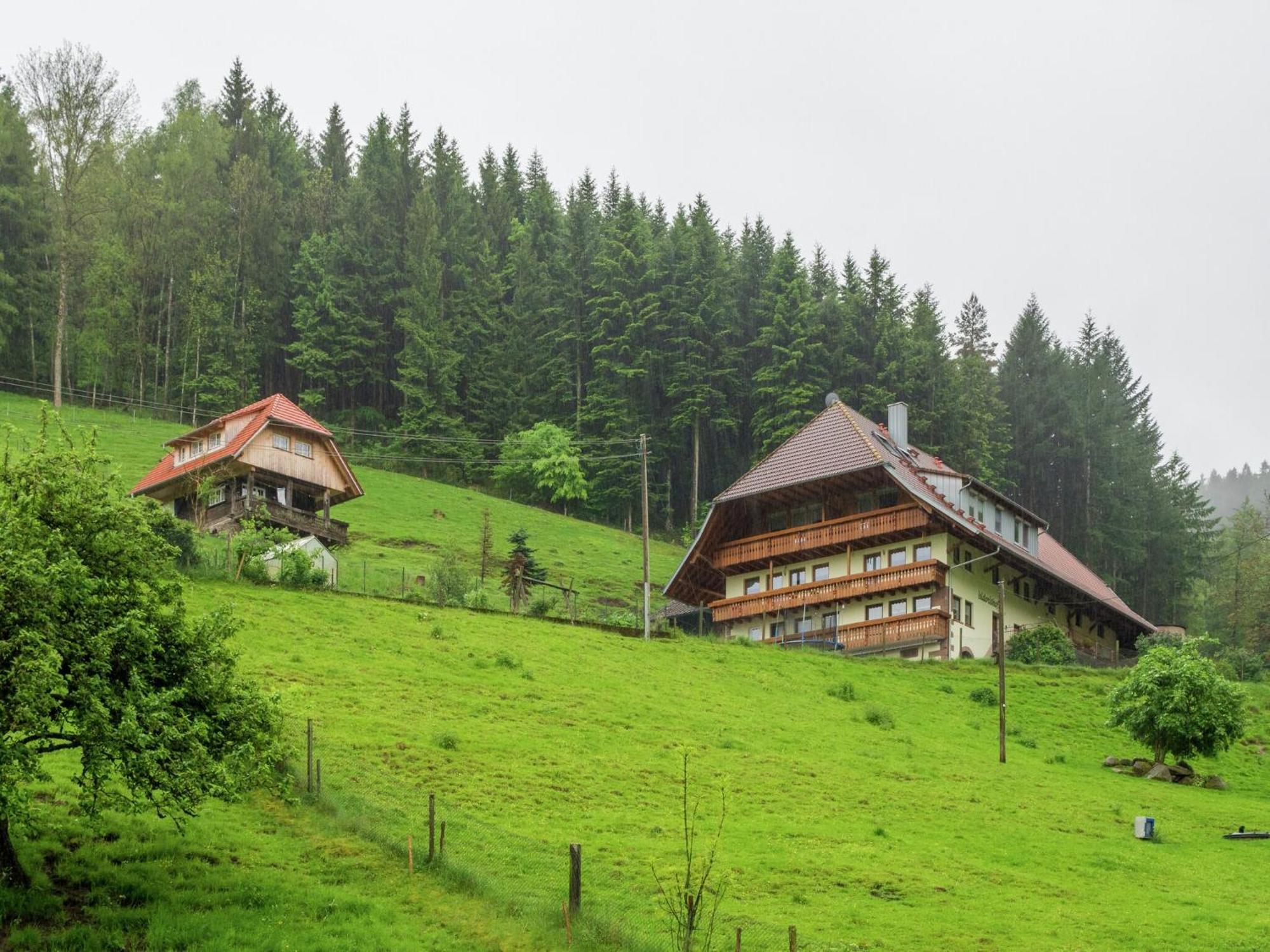 Cosy Farmhouse Apartment At The Edge Of The Forest Mühlenbach Exteriér fotografie